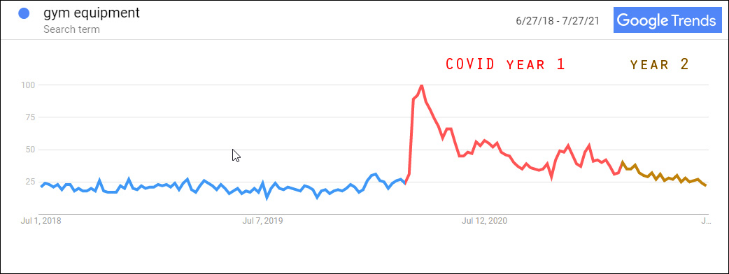 Covid Organic Search Trends for Gym Equipment