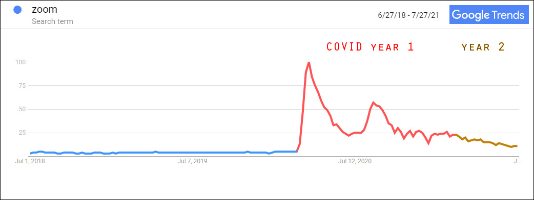 Covid Organic Search Trends for Zoom
